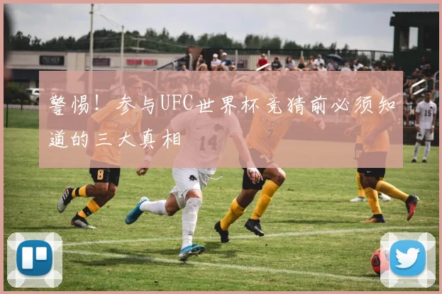 警惕！参与UFC世界杯竞猜前必须知道的三大真相