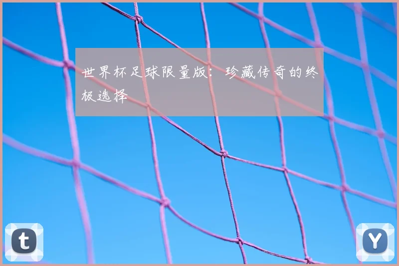 世界杯足球限量版：珍藏传奇的终极选择