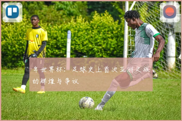 年世界杯:足球史上首次亚洲之旅的辉煌与争议